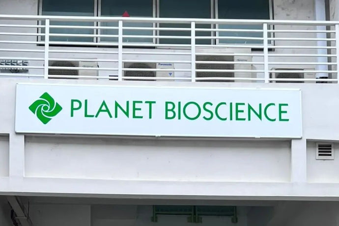 The Importance of Signboards for Business